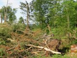 2022-05-20 - Tornado beim Sturmtief Emmelinde Solling - Steinlade bis Gehren (08)